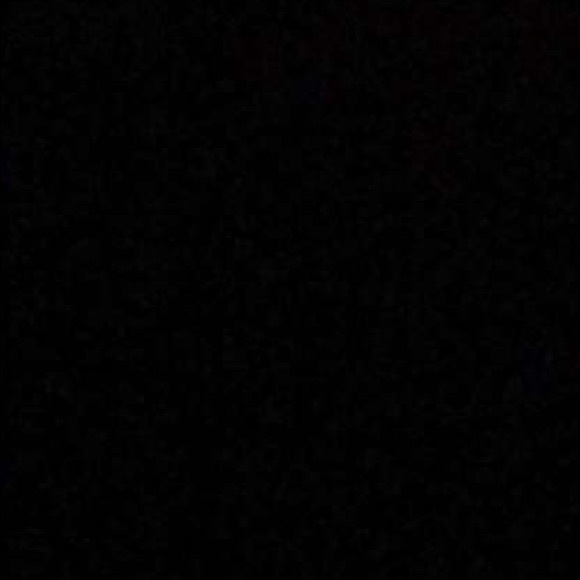 Meet your Posher, Leonidas - Picture 1 of 1